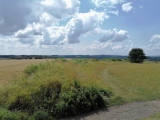 Click for full size image of Leckhampton Hill (PID:230013) Leckhampton Hill