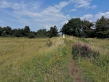 Click for full size image of Leckhampton Hill (PID:230014) Leckhampton Hill