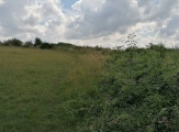 Click for full size image of Leckhampton Hill (PID:230015) Leckhampton Hill
