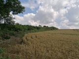 Click for full size image of Leckhampton Hill (PID:230016) Leckhampton Hill