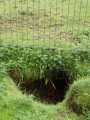 Lydney Hillfort