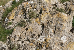 The Lang Stone - PID:89764