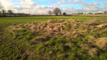 Hoar Stone at Duntisbourne