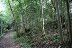 Bloody Acre Camp - PID:78925
