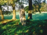 Click for full size image of The Tingle Stone (PID:127652) The Tingle Stone