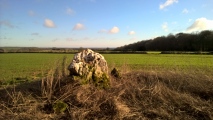 Hoar Stone at Duntisbourne