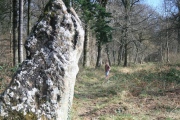 Click for full size image of Long Stone, Staunton (PID:137002) Long Stone, Staunton