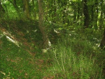 Dyrham Camp - PID:59599