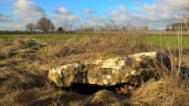 Hoar Stone at Duntisbourne