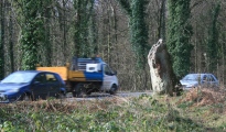 Long Stone, Staunton