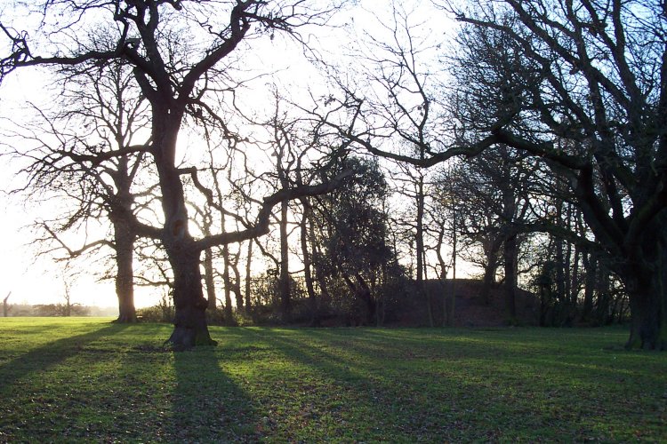Morden Park The Mound taken after Xmas December 2004.Dubious antiquity and history, but from this angle and view one wishes it could be a barrow! (The site was sadly littered and graffitied, with the mentioned information sign at the top of the mound removed, probably vandalised.)
