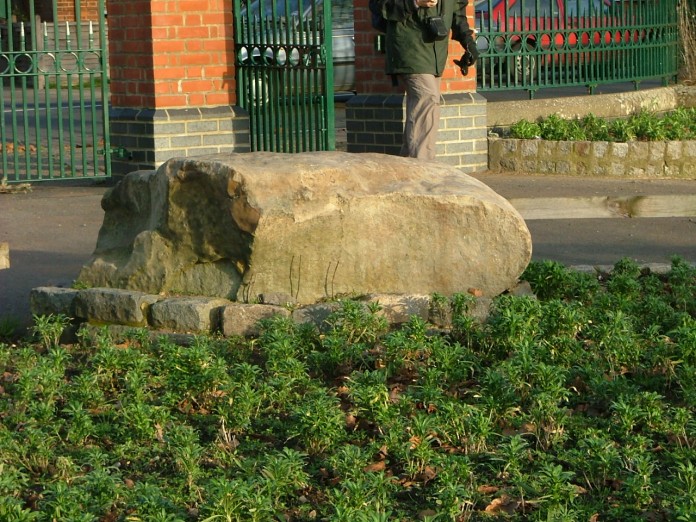 Click for full size image of Elthorne Park Sarsen (PID:11376) Elthorne Park Sarsen