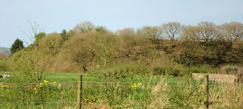 Castlesteads (Walmersley) (PID:75423) Castlesteads (Walmersley)
