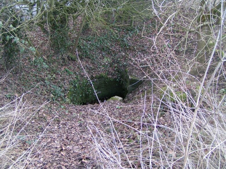 Holy Well (Swanmore)