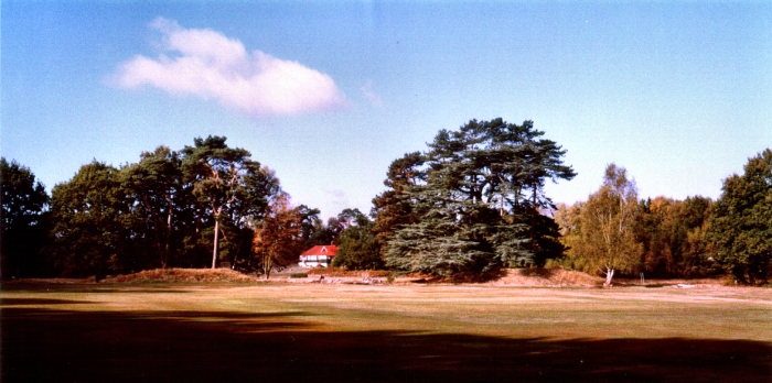 Petersfield Heath Barrows