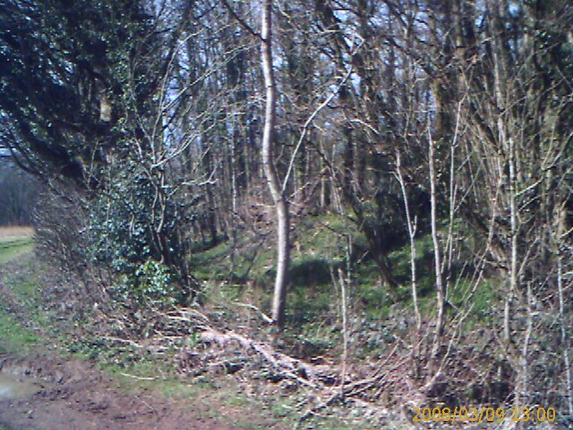 Bevisbury (PID:48054) Bevisbury