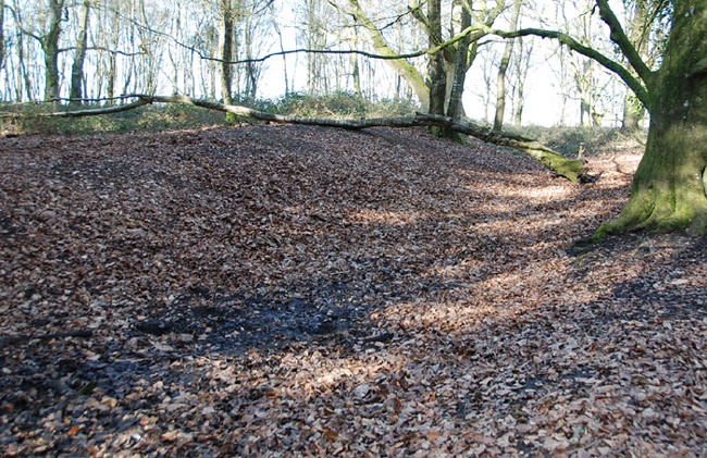 Click for full size image of Damerham Knoll Camp (PID:74488) Damerham Knoll Camp