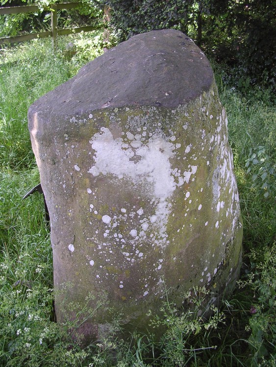 Flowerdown Barrows