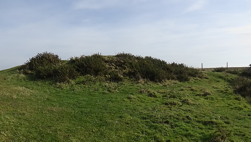 Click for full size image of St Catherine's Hill (Isle of Wight) (PID:197085) St Catherine's Hill (Isle of Wight)