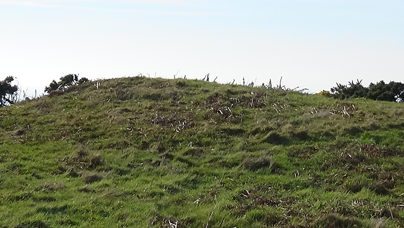 Click for full size image of St Catherine's Hill (Isle of Wight) (PID:197087) St Catherine's Hill (Isle of Wight)