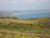 Click for full size image of Luccombe Down (PID:197172) Luccombe Down