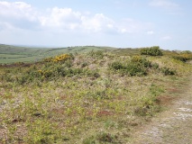 Click for full size image of Luccombe Down (PID:197176) Luccombe Down