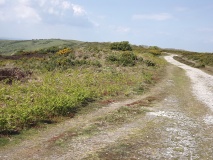 Click for full size image of Luccombe Down (PID:197179) Luccombe Down