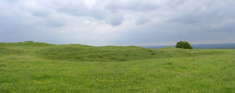 Ladle Hill A composite image of the southeastern corner of the unfinished hillfort. Some of the causeways across the unfinished ditch can be seen, and the inner bank has a very lumpy profile. The causeways in this picture are probably not intended to be intended entrances to the fort because a probable