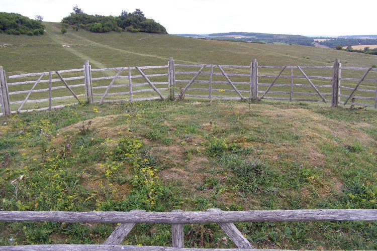 Stockbridge Down Bowl Barrows