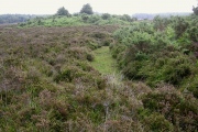 Beaulieu Heath (East)