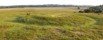 Longdown (New Forest) tumuli - PID:21278