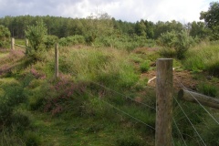 Lugden Barrow - PID:31723