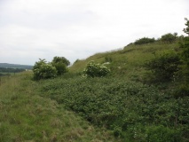 Quarley Hill - PID:77613