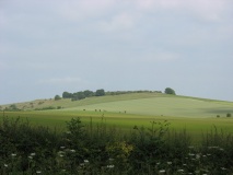 Quarley Hill - PID:77615