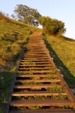 St Catherine's Hill (Hampshire) - PID:34342