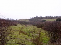 Stockbridge Down field boundary - PID:11854