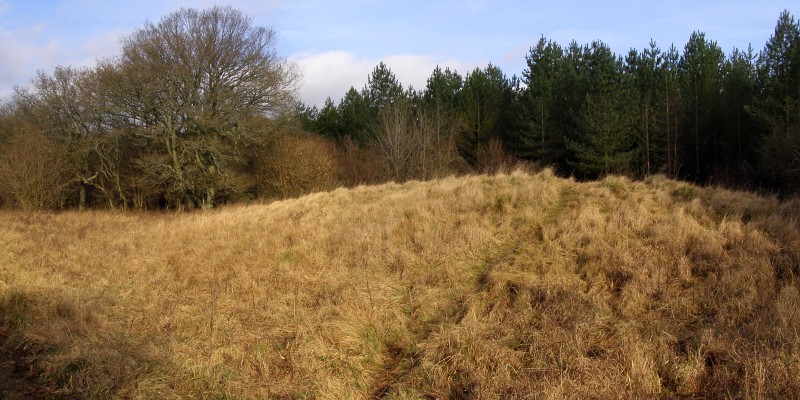 Click for full size image of Vernditch Chase (South) (PID:36409) Vernditch Chase (South)