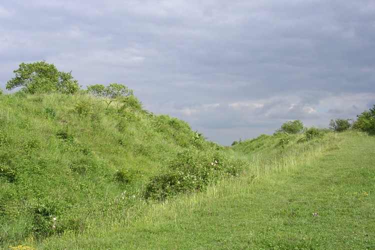 Click for full size image of Woolbury (PID:14710) Woolbury