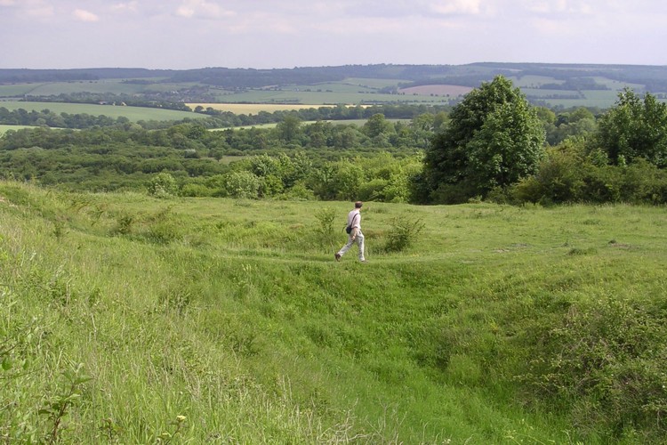 Click for full size image of Woolbury (PID:14712) Woolbury