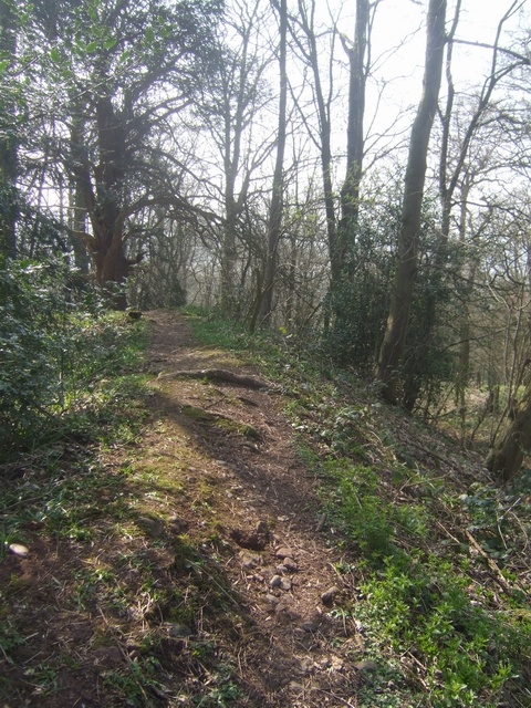 Wychbury Camp (PID:78046) Wychbury Camp
