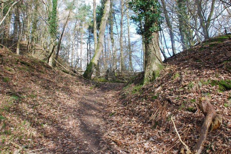 Click for full size image of Coxall Knoll (PID:45697) Coxall Knoll