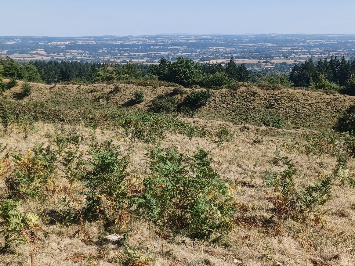Click for full size image of Croft Ambrey (PID:250645) Croft Ambrey