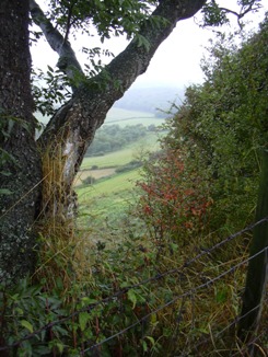 Oldbury Camp (Herefordshire) (PID:63805) Oldbury Camp (Herefordshire)