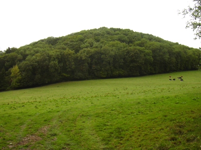 Cherry Hill (PID:63853) Cherry Hill