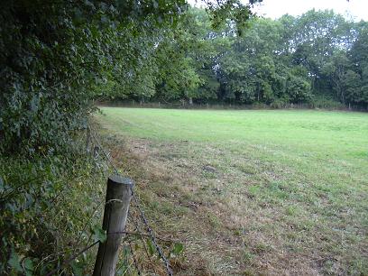 Redhill Wood Hillfort