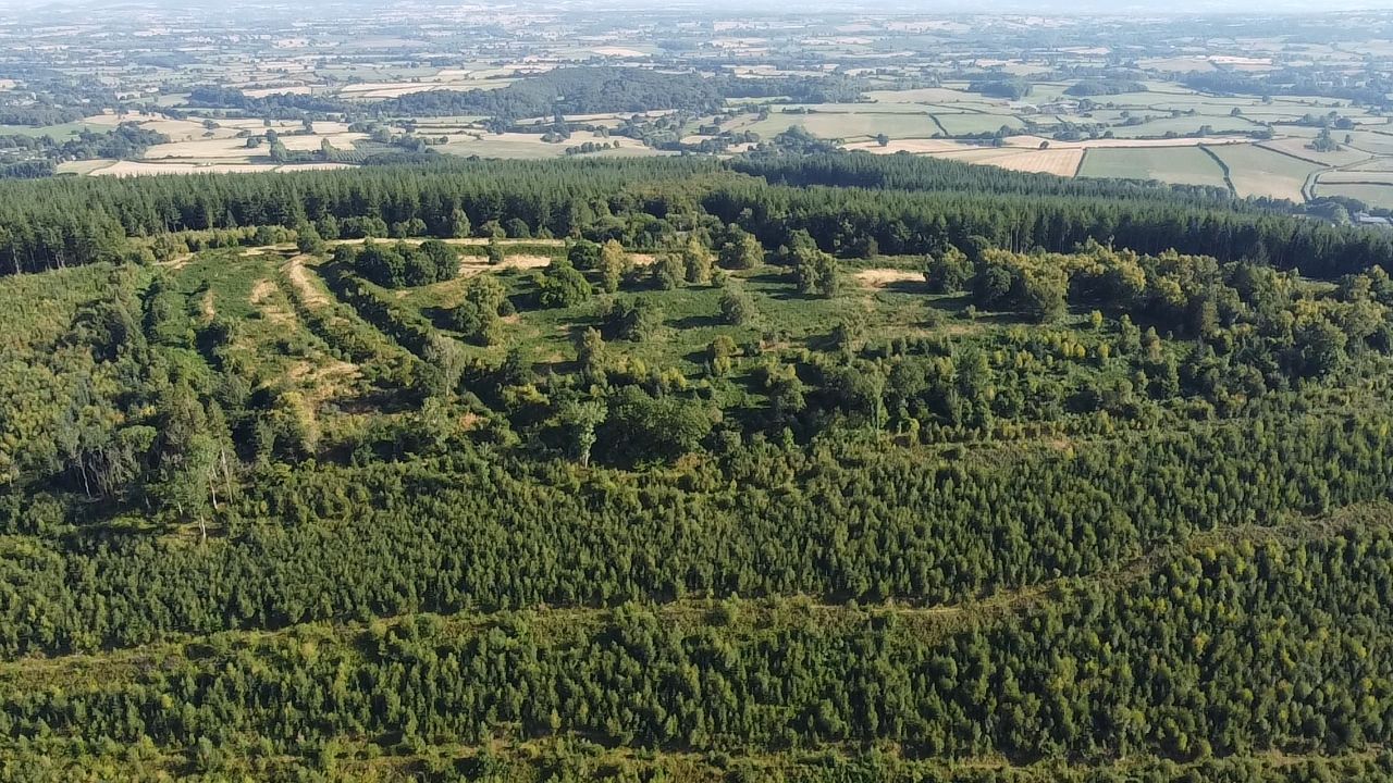 Wapley Camp (PID:250853) Wapley Camp