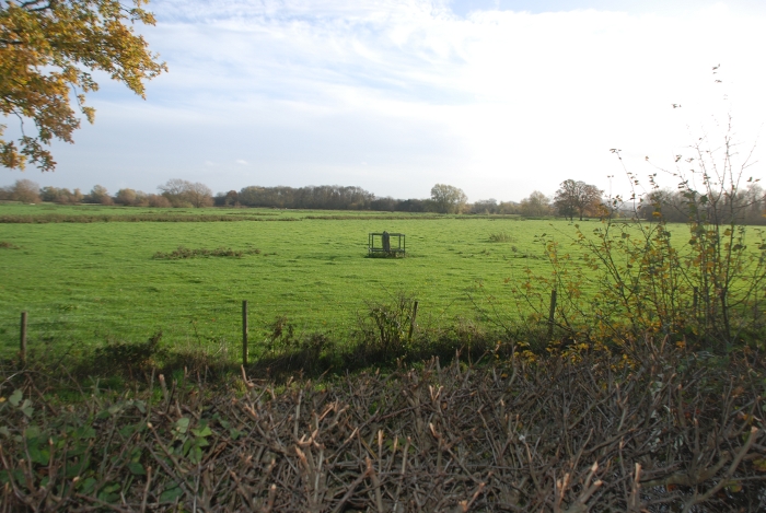 The Wergin's Stone