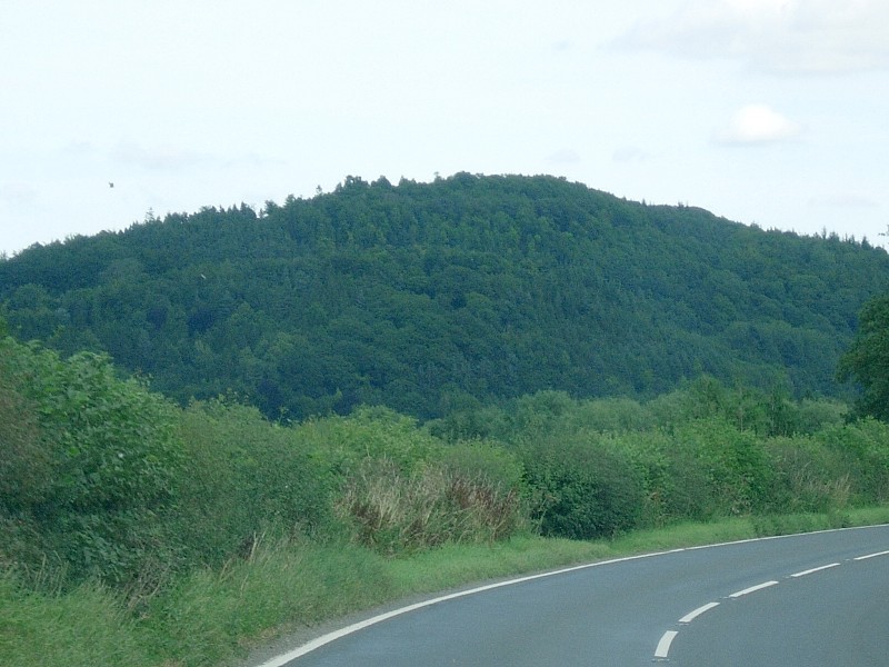 Coxall Knoll (PID:16203) Coxall Knoll