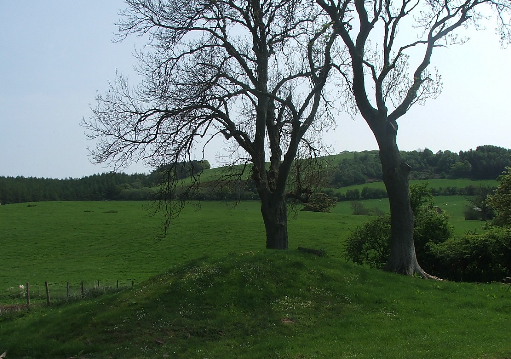 Great Llanavon Farm