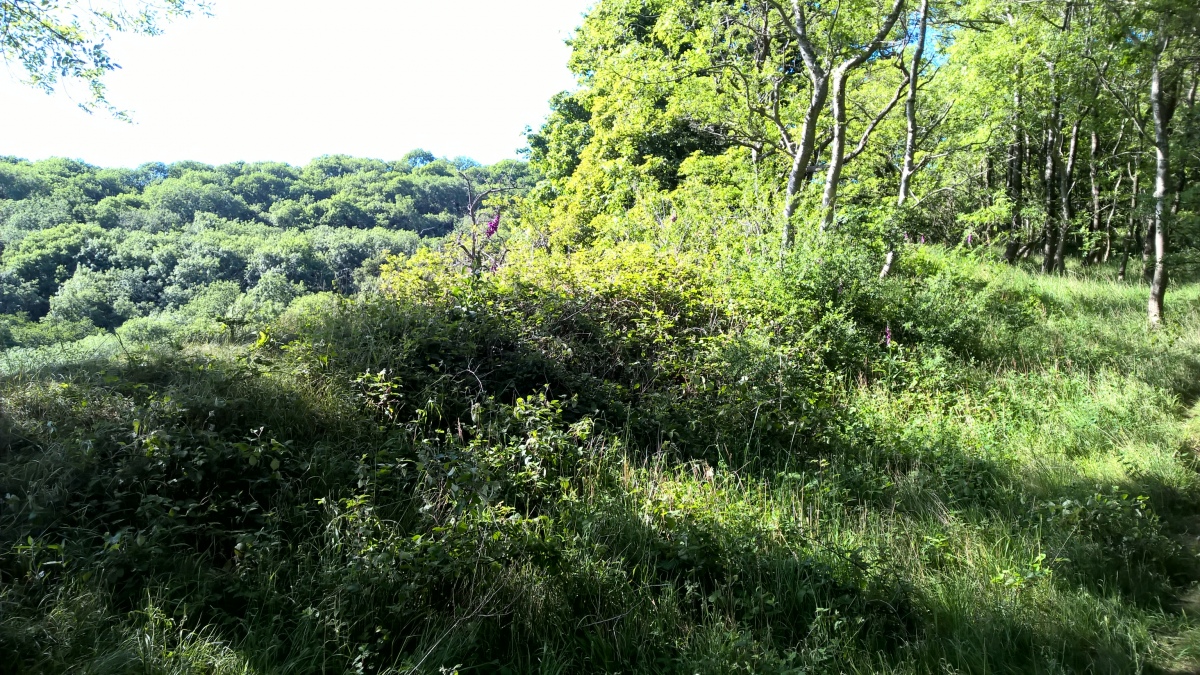 Click for full size image of Midsummer Hill (PID:213161) Midsummer Hill